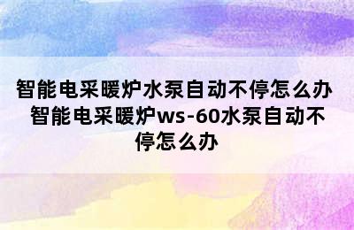 智能电采暖炉水泵自动不停怎么办 智能电采暖炉ws-60水泵自动不停怎么办